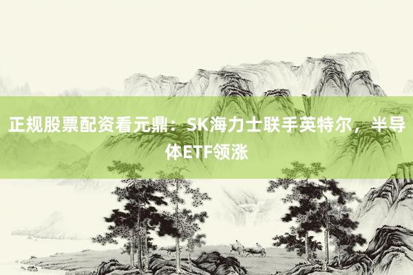 正规股票配资看元鼎：SK海力士联手英特尔，半导体ETF领涨