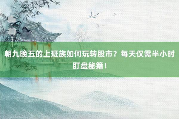 朝九晚五的上班族如何玩转股市？每天仅需半小时盯盘秘籍！