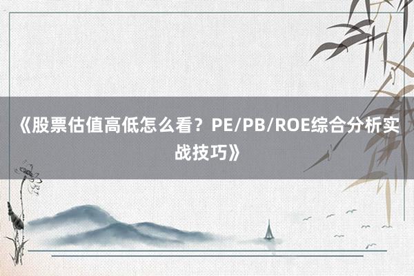 《股票估值高低怎么看？PE/PB/ROE综合分析实战技巧》