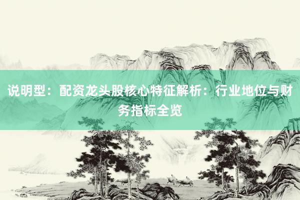 说明型：配资龙头股核心特征解析：行业地位与财务指标全览
