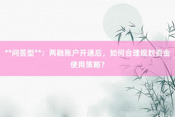 **问答型**：两融账户开通后，如何合理规划资金使用策略？